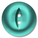 button_007_teal13