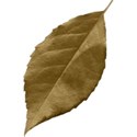 green leaf3