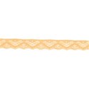 MLIVA_pf_lace