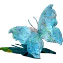 csb_hawaiiannights_blue-butterfly