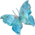 csb_hawaiiannights_butterfly