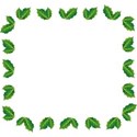 Embellishment
