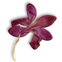 flower4-gg-mikki