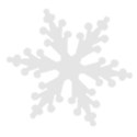 jennyL_snow_snowflake4