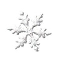 jennyL_snow_snowflake4a