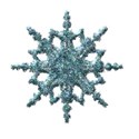 jennyL_snow_snowflake6a