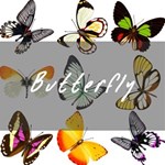 Butterfly 7