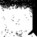 fall_tree