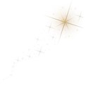 sparkle dust 06 gold