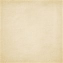 jss_hollydays_paper embossed white