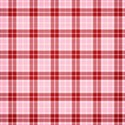 jss_joy_paper plaid 2