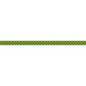 jss_joy_ribbon dotted dark green