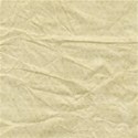 lisaminor_amore_paper_g