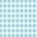 blue small check