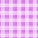 purple big check