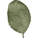 BOS Moments leaf01