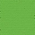 winsordigi_magicalchristmas_papergreen