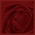 Red Hot Paper Pack - 03