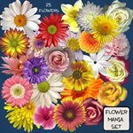 Flower Mania Set