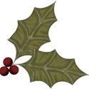 moo_twsntebfre_hollyleafandberry
