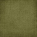 moo_twsntebfre_paper12