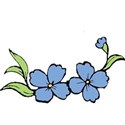 blueflower