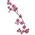 CherryBlossom2Cld