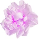 kdesigns_mystical2_flower1