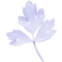 kdesigns_mystical1_leaf
