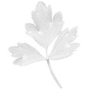 kdesigns_mystical1_leaf2