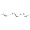 barbwire 2
