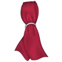 ribbon 2 red