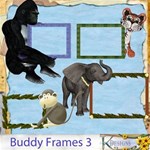 Buddy Frames 3