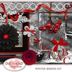 Winter Berries Kit