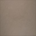 CChan_Beach_Brown