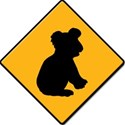 koala crossing