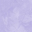 vincapurple3