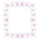 pink daisy overlay