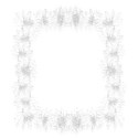 white daisy overlay