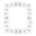 silver daisy border