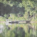 Nature2