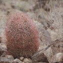 Nature8