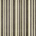 Stripes Brown Cream