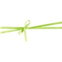 Green Wrap