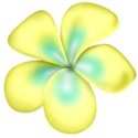 kdesigns_islander_flower1