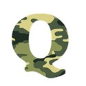 Q