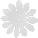 flowerwhite2