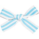 jss_brrrrr_ribbon striped blue