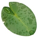 DZ_FishTales_leaf