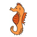 DZ_FishTales_seahorse1